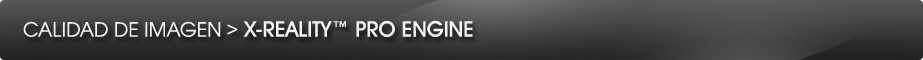 X-Reality Pro Engine