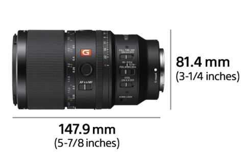 FE 100mm F2.8 Macro GM OSS | SEL100M28GM | Sony Panama