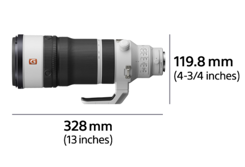 FE 100-400mm F4.5 GM OSS | SEL100400MC | Sony Panama